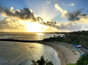 turtlebay